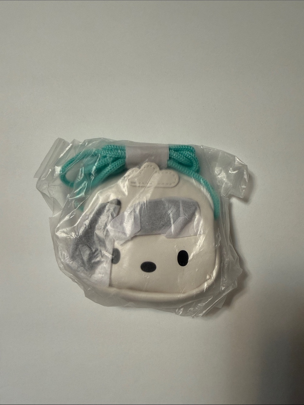 Sanrio Pochacco Character Coin Purse with Teal Drawstring